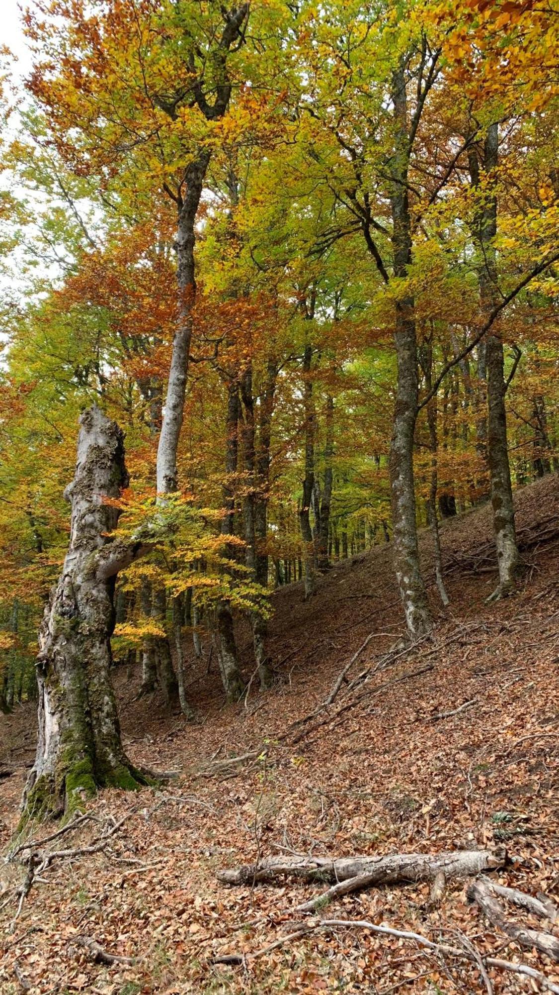 Al Viento, Alojamiento & Turismo Rural Prádena del Rincón Kültér fotó