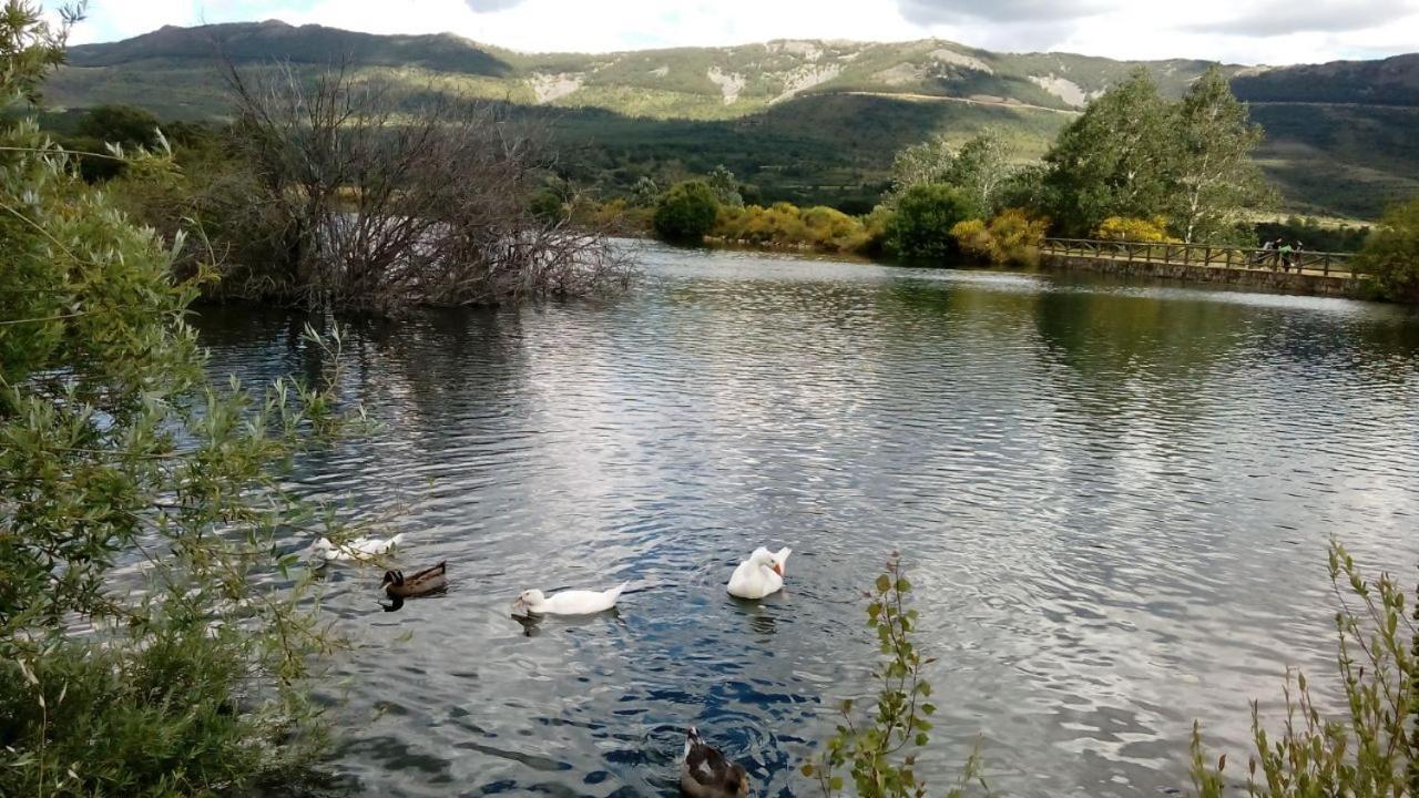 Al Viento, Alojamiento & Turismo Rural Prádena del Rincón Kültér fotó