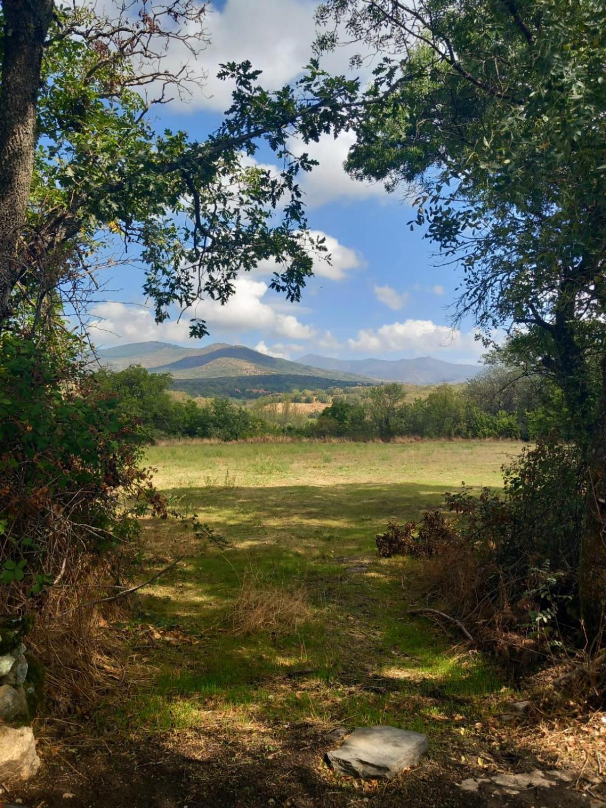 Al Viento, Alojamiento & Turismo Rural Prádena del Rincón Kültér fotó