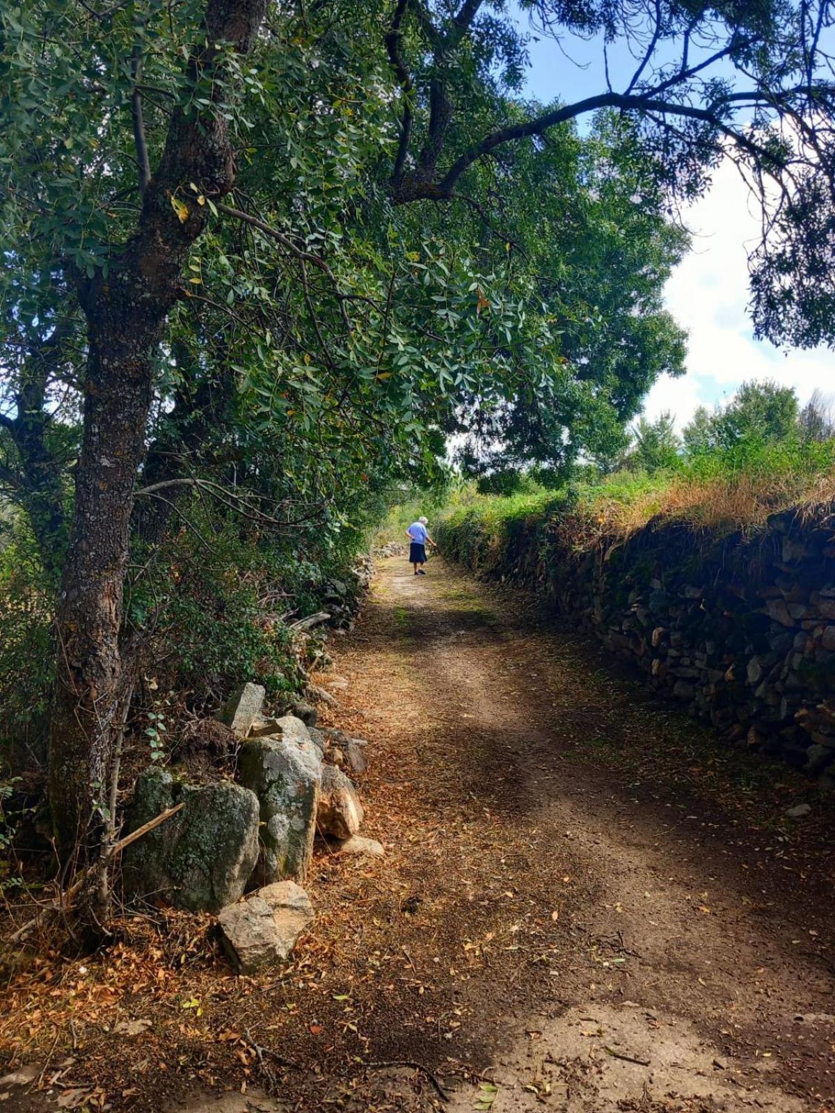 Al Viento, Alojamiento & Turismo Rural Prádena del Rincón Kültér fotó