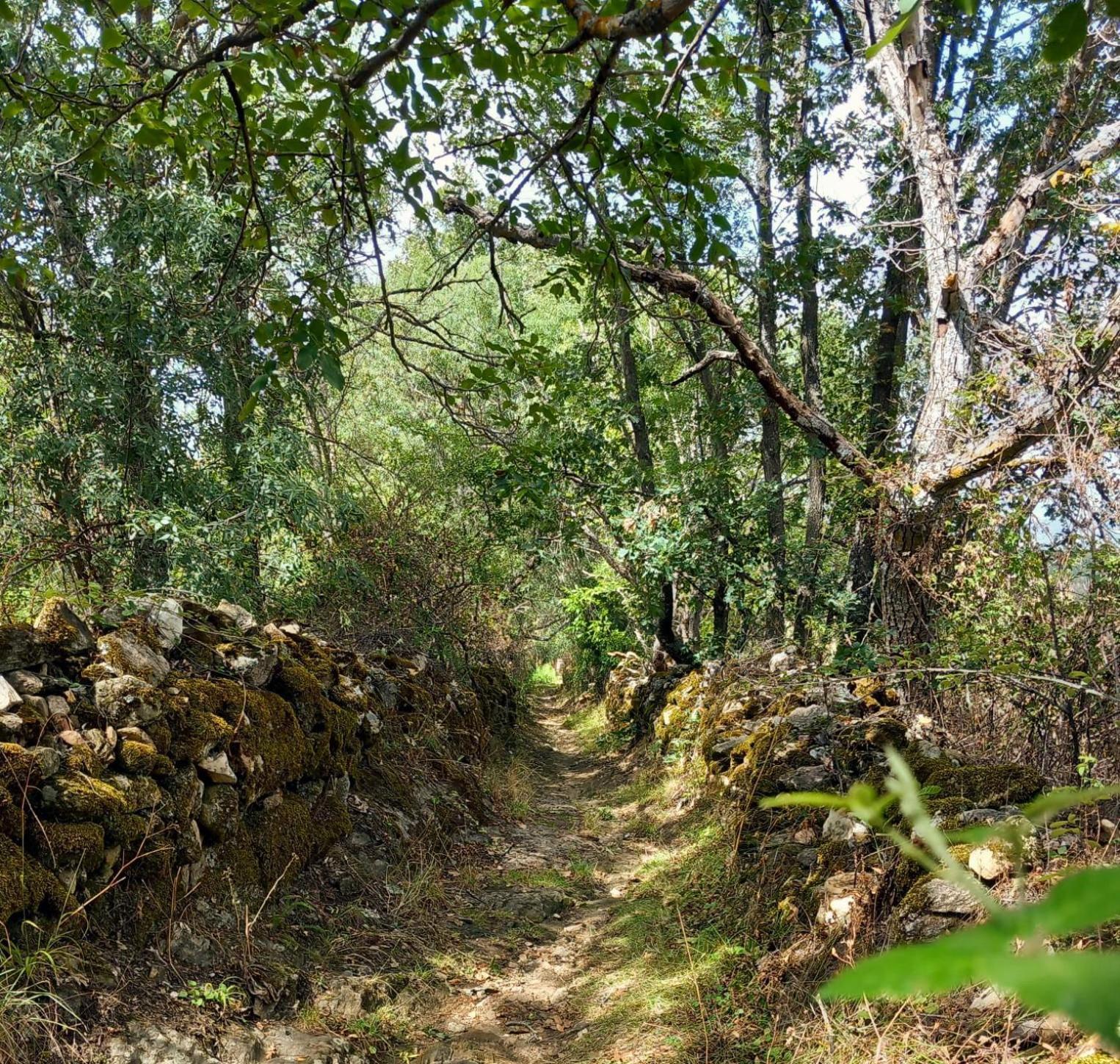 Al Viento, Alojamiento & Turismo Rural Prádena del Rincón Kültér fotó