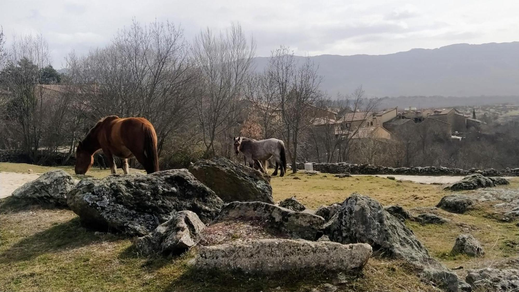 Al Viento, Alojamiento & Turismo Rural Prádena del Rincón Kültér fotó