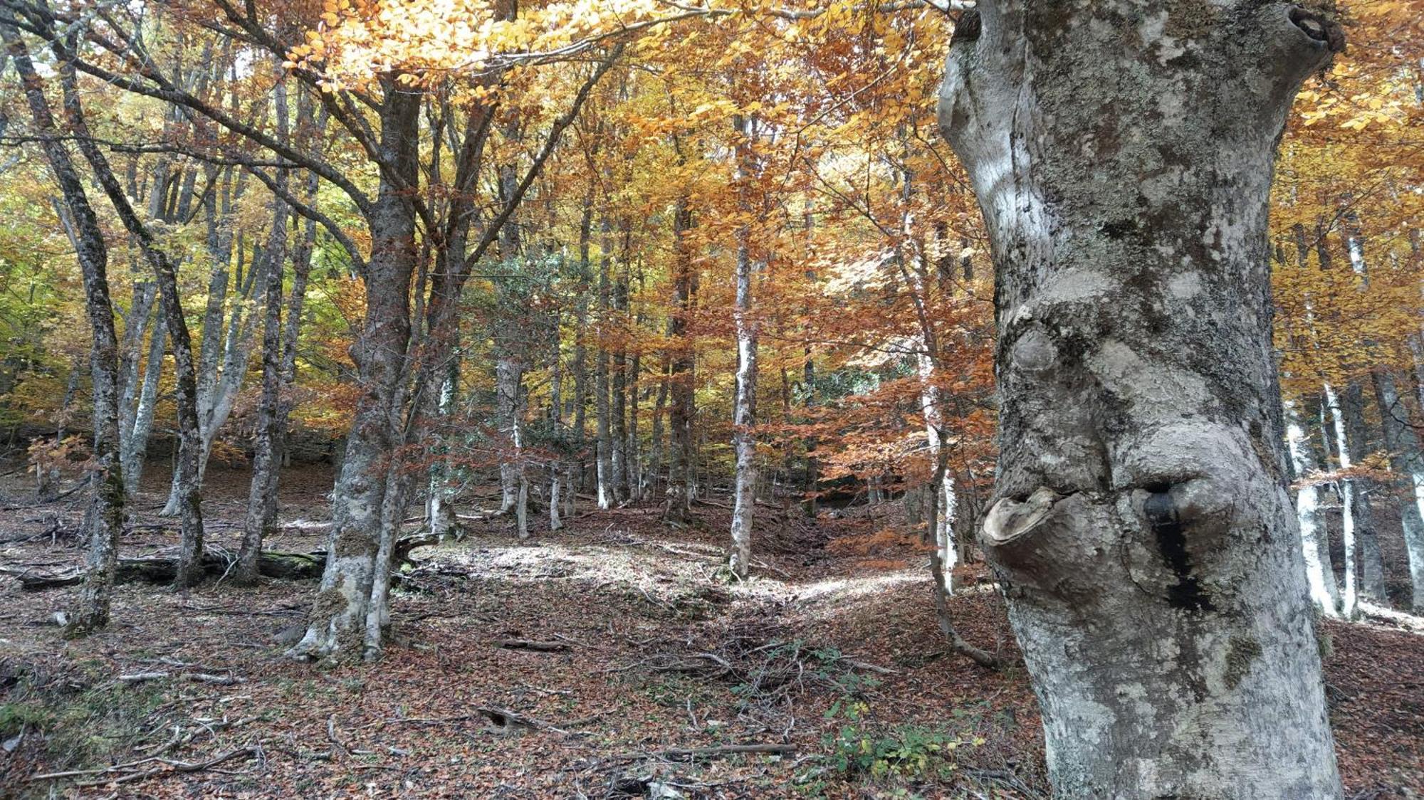 Al Viento, Alojamiento & Turismo Rural Prádena del Rincón Kültér fotó