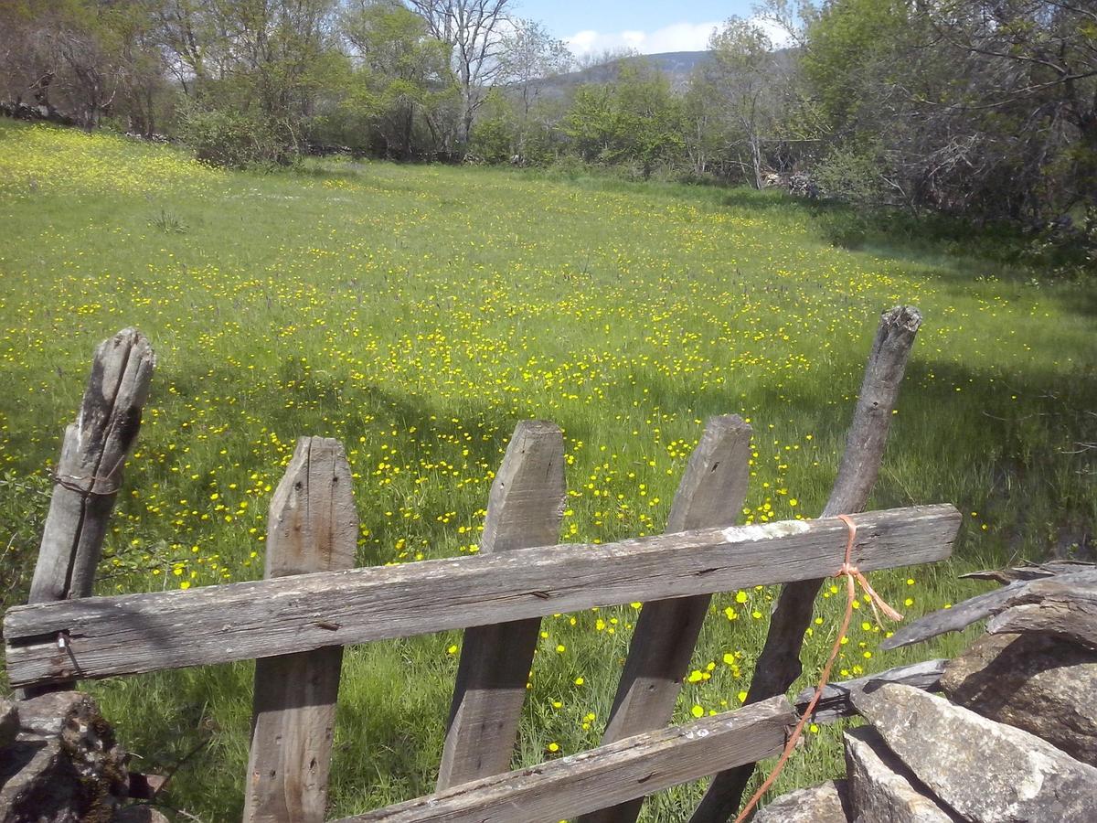Al Viento, Alojamiento & Turismo Rural Prádena del Rincón Kültér fotó
