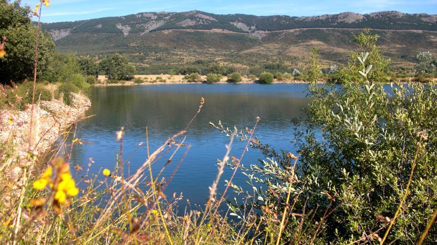 Al Viento, Alojamiento & Turismo Rural Prádena del Rincón Kültér fotó
