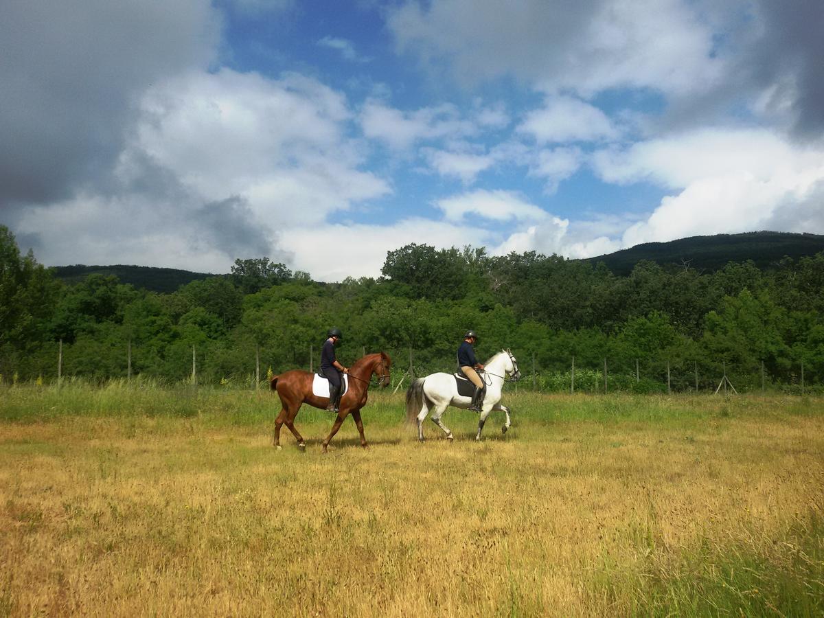 Al Viento, Alojamiento & Turismo Rural Prádena del Rincón Kültér fotó