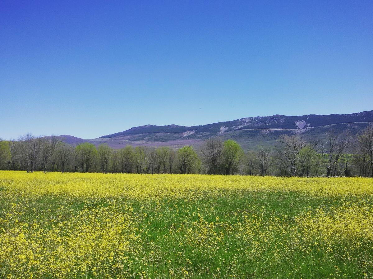 Al Viento, Alojamiento & Turismo Rural Prádena del Rincón Kültér fotó