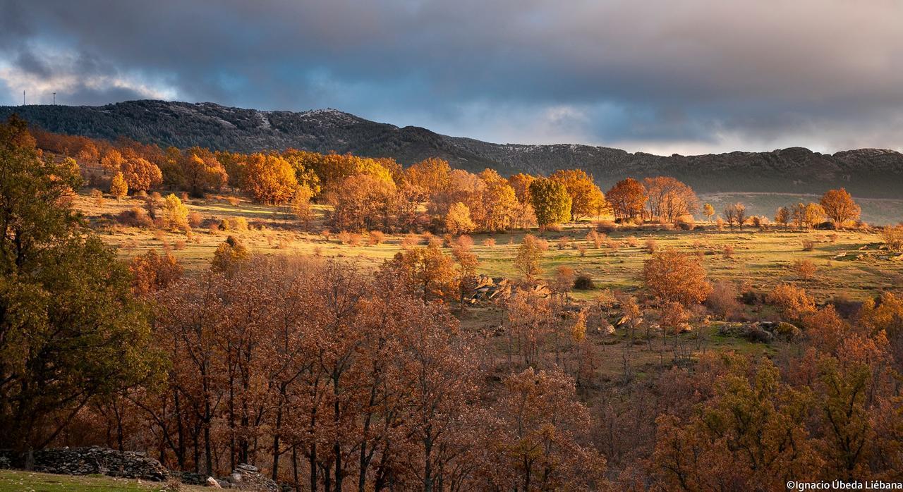 Al Viento, Alojamiento & Turismo Rural Prádena del Rincón Kültér fotó